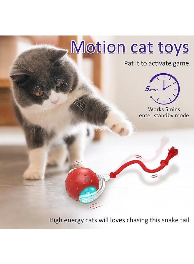 Interactive Cat Toys Ball for Indoor Cats Fast Rolling on Carpet, Chirping & Motion Activate Cat Toys - Image 3